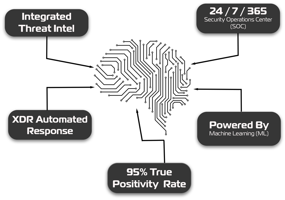 2022-Differentiator-AI-Driven-MDR-brain-graphic-2