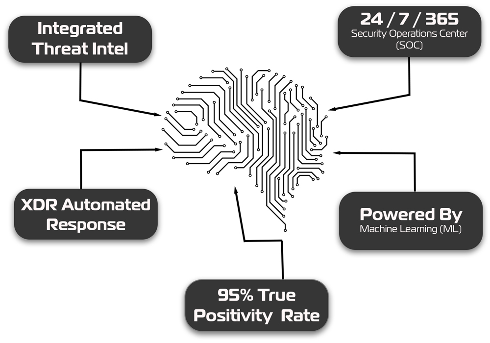 2022-Differentiator-AI-Driven-MDR-brain-graphic-2 2022-Differentiator-AI-Driven-MDR-brain-graphic-2